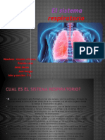 El Sistema Respiratorio Eduacion Fisica