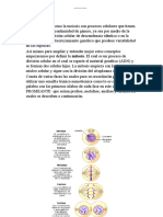 Mitosis y Meiosis