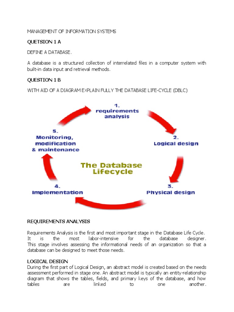 Management of Information Systems Assignment 1 | PDF | Database Design ...