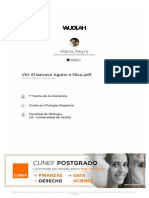 wuolah-free-VIII. El Barroco Aguiar e Silva PDF
