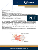 Fisiologia Do Exercício