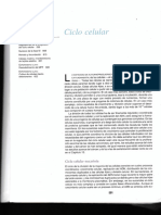 Cooper Ciclo Celular PDF