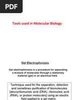 Tools Used in Molecular Biology