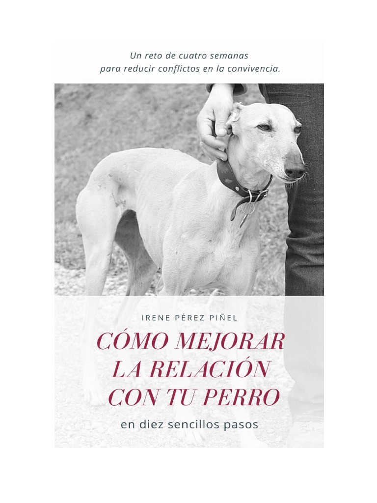 MejorarRelacionPerro PDF | PDF | Perros | Red mundial, image size:768x1024