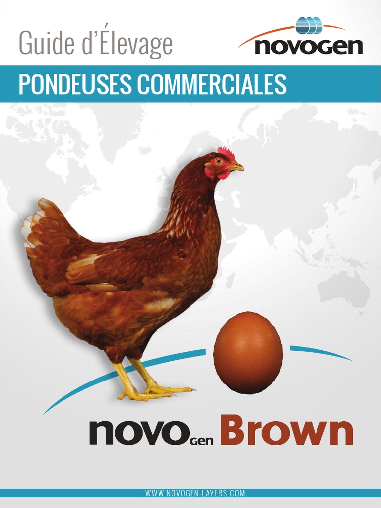 Pondeuses Commerciales Guide D Elevage œuf Aliment Calcium