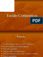 Tecido Conjuntivo.ppt