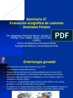 Seminario 57 - Evaluacion Ecografica de Lesiones Anexiales Fetales - Archivo