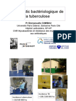 Diagnostic Microbio Tuberculose e Cambau PDF