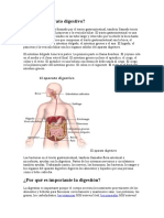 Qué es el aparato digestivo