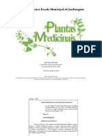 Plantas medicinais.pdf