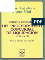 Procedimiento Concursal de Liquidación - Juan Esteban Puga Vial.pdf