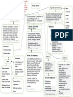 Mapa Conceptual