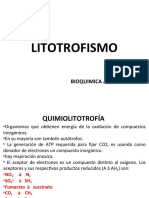 3litotrofismokok.ppt