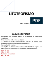 3 Litotrofismokok