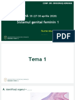 Tema S10 MG RO