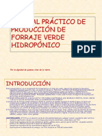 Fvh Manual Practico