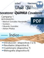 Presentacion Lab.pdf