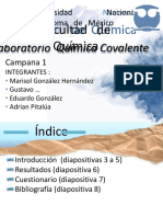 Presentacion Lab-convertido.pdf