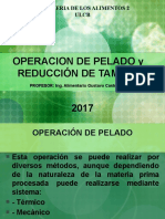 Clase Operacion de Pelado y Reduccion de Tamaño 2017