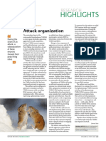 attack organization.pdf