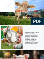 Livestock Industry: What Is The Livestock Industry and Why Is It Doing So Much Damage?