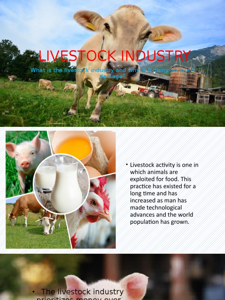WHAT IS THE DEFINITION OF LIVESTOCK INDUSTRY intelligence overview