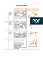 Tarea 4 PDF