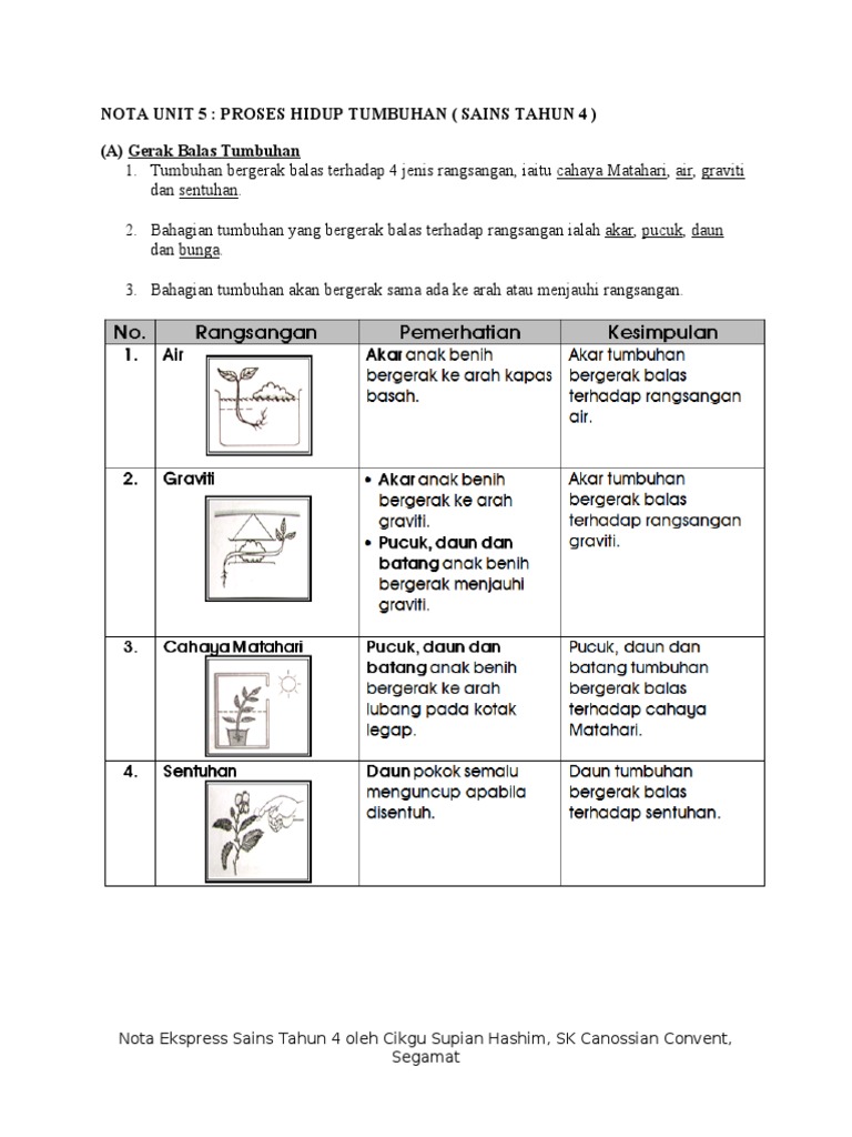 Nota Unit 5 Proses Hidup Tumbuhan Sains Tahun 4 Pdf