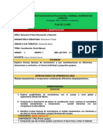 ED. FISICA Plan de Clases