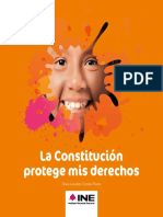 La Constitucion Protege