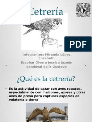 lector Baño Desgastar Cetrería Zootecnia | PDF | Cetrería | Aves de presa