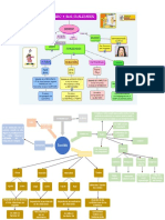 El Ruido-Mapa PDF
