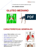 Gluteo Mediano