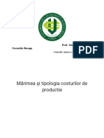 Mărimea Şi Tipologia Costurilor de Productie