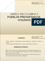 América Precolombina y Pueblos Originarios en Chile