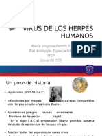 Virus de Los Herpes Humanos
