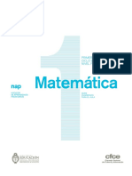 NAP MATEMATICA.pdf