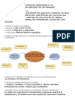 ACTIVIDAD DE APRENDIZAJE Definitiva