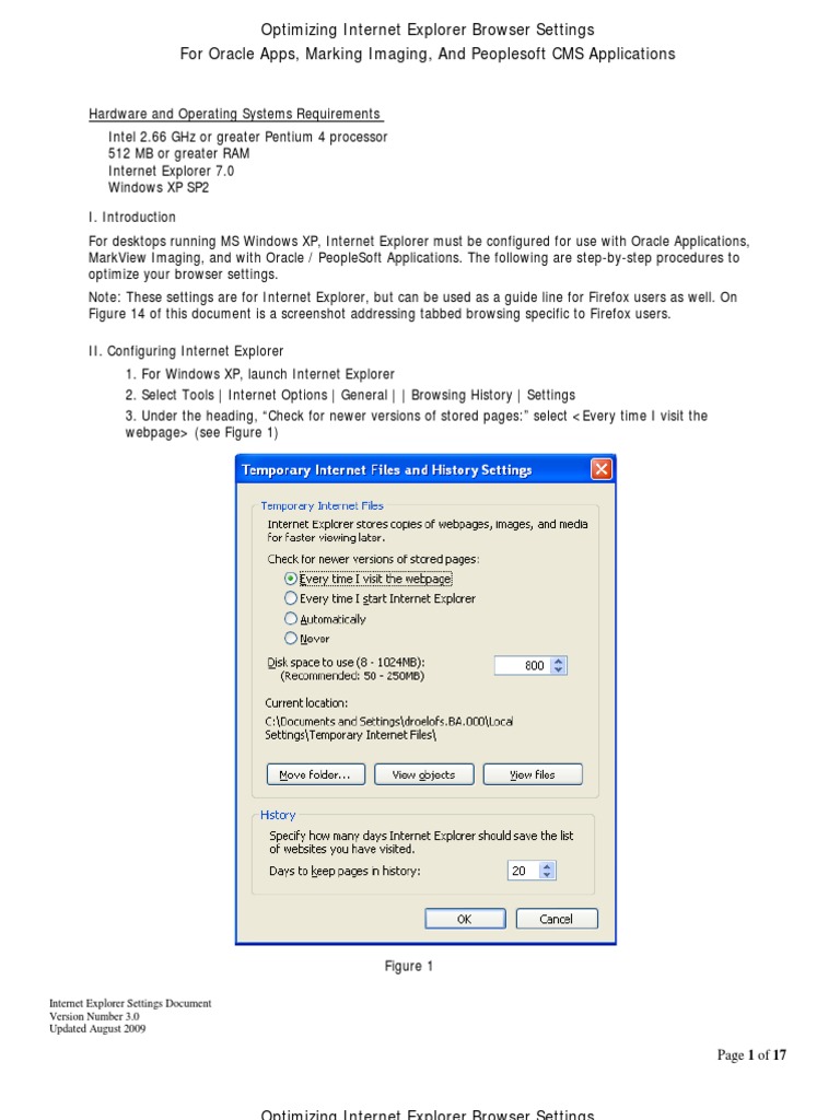 IE Settings | PDF | Internet Explorer | Tab (Gui)