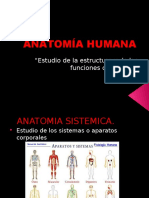 4 Anatomía Humana