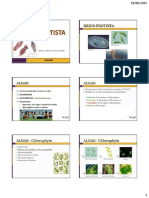 AULA 18 - Reino Protoctista.pdf