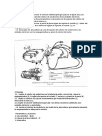 Documento