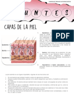 Apuntes Cultura Fisica PDF
