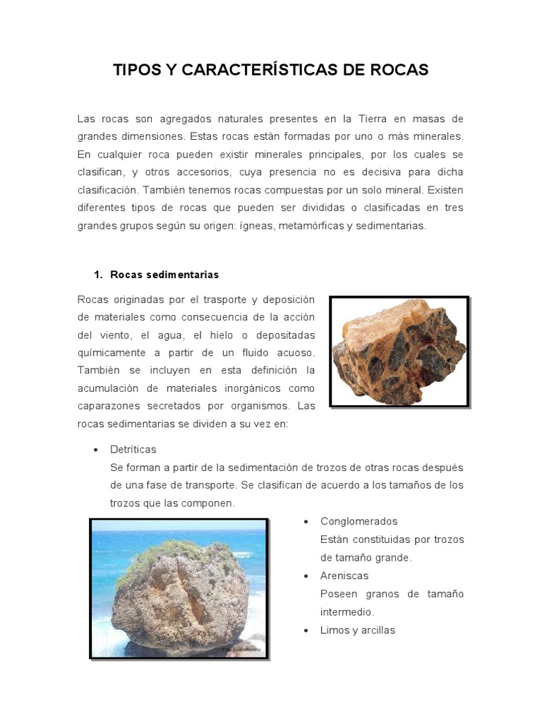 Datos Sobre Las Rocas Sedimentarias Qué Son Las Rocas Sedimentarias?