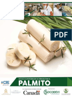 Informe Final Palmito - Web PDF