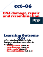 Lect-06: DNA Damage, Repair and Recombination