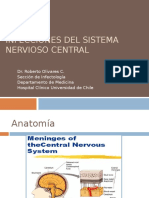 11.Infecciones SNC 2014