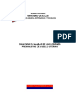 33guia Lesiones Preneoplasicas Del Cancer PDF