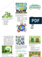 Qué Es La Conservación Del Medio Ambiente