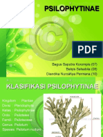 psilophytinae